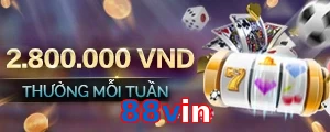 88vin