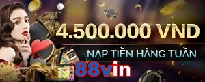 88vin
